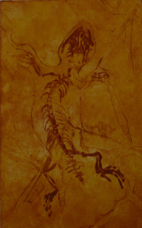 Yabeinosaurus in Amber